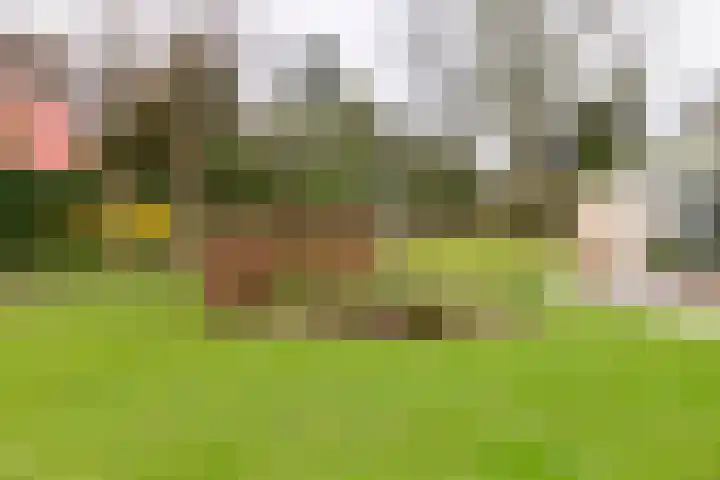Rozenbos 3 a Rheden thumbnail 34