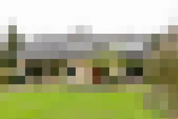 Rozenbos 3 a Rheden thumbnail 5