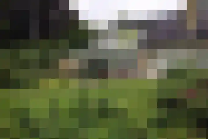 Rozenbos 3 a Rheden thumbnail 6