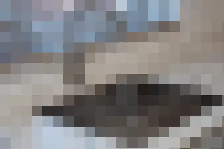 Rozenbottel 14 Borne thumbnail 12