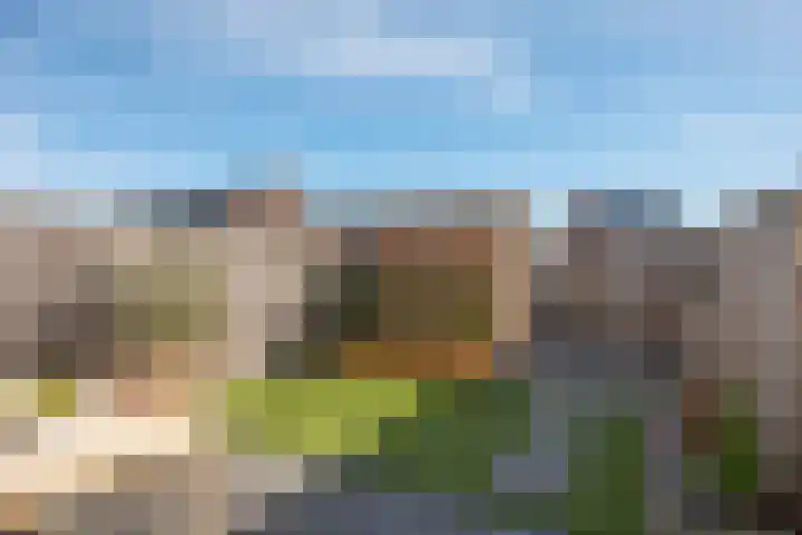 Rozenbottel 14 Borne thumbnail 30