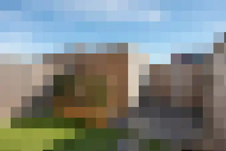Rozenbottel 14 Borne thumbnail 31