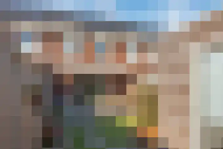 Rozenbottel 14 Borne thumbnail 32