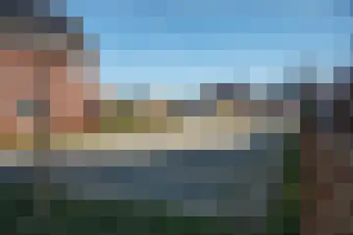 Rozenbottel 14 Borne thumbnail 33