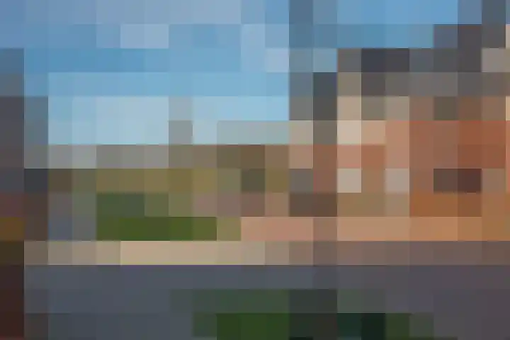 Rozenbottel 14 Borne thumbnail 34