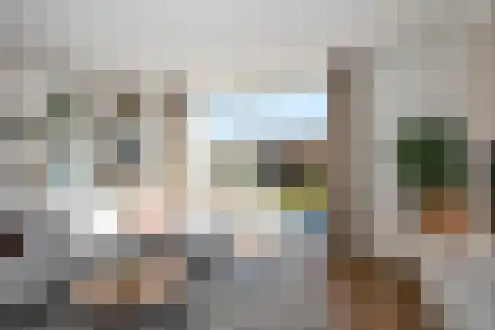 Rozenbottel 14 Borne thumbnail 7