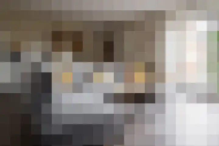 Rozenbottel 2 Hengelo thumbnail 10