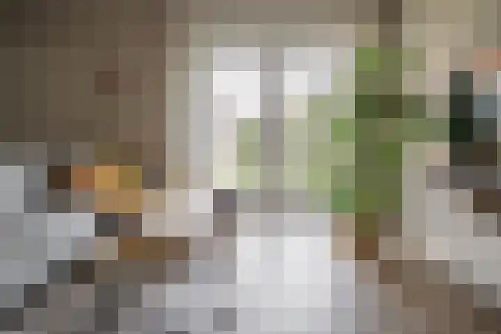 Rozenbottel 2 Hengelo thumbnail 11