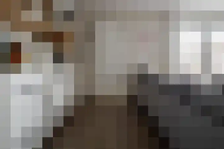 Rozenbottel 2 Hengelo thumbnail 12