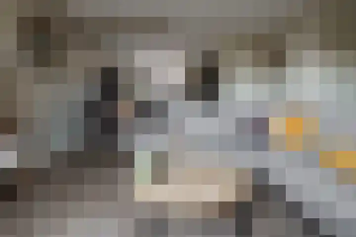 Rozenbottel 2 Hengelo thumbnail 13