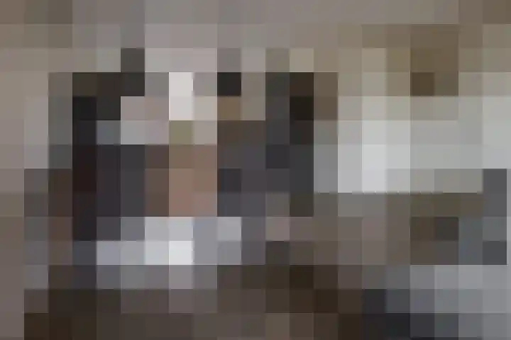 Rozenbottel 2 Hengelo thumbnail 14