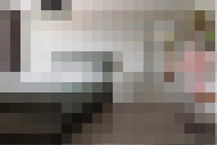 Rozenbottel 2 Hengelo thumbnail 17