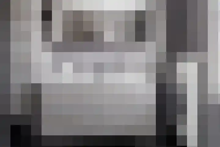 Rozenbottel 2 Hengelo thumbnail 23