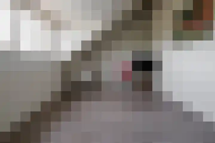 Rozenbottel 2 Hengelo thumbnail 25