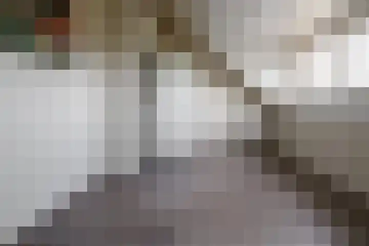Rozenbottel 2 Hengelo thumbnail 26