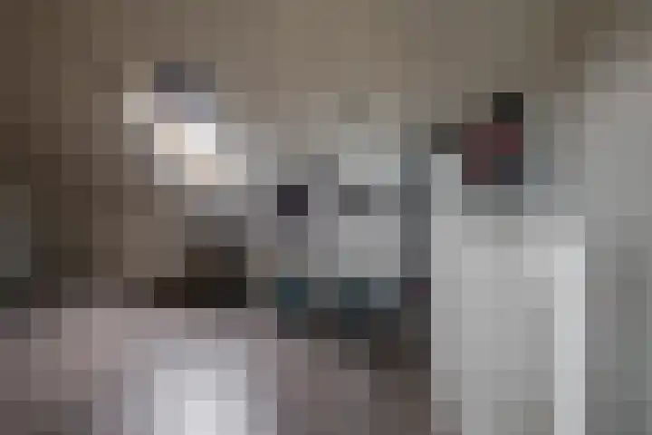 Rozenbottel 2 Hengelo thumbnail 27