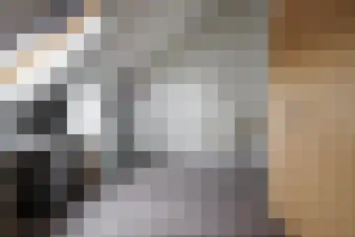 Rozenbottel 2 Hengelo thumbnail 28
