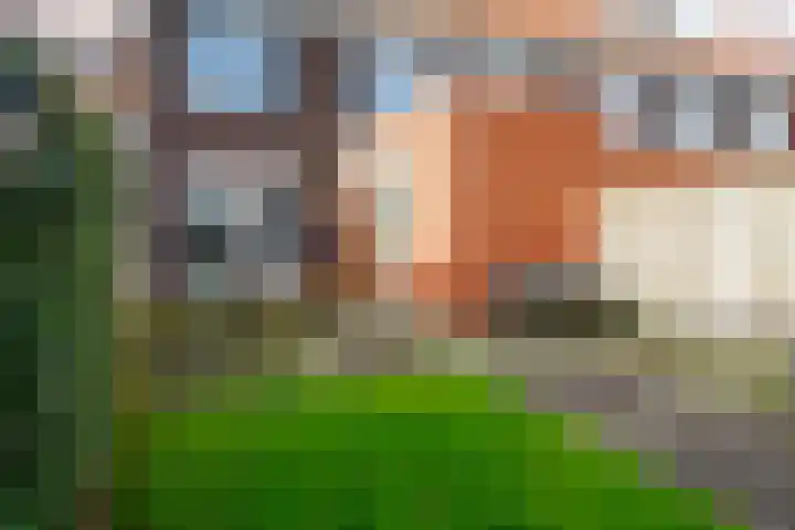 Rozenbottel 2 Hengelo thumbnail 29
