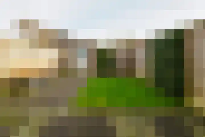 Rozenbottel 2 Hengelo thumbnail 30