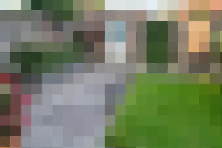 Rozenbottel 2 Hengelo thumbnail 31