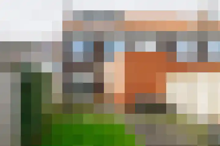 Rozenbottel 2 Hengelo thumbnail 32