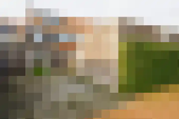 Rozenbottel 2 Hengelo thumbnail 33