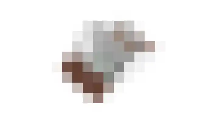 Rozenbottel 2 Hengelo thumbnail 45