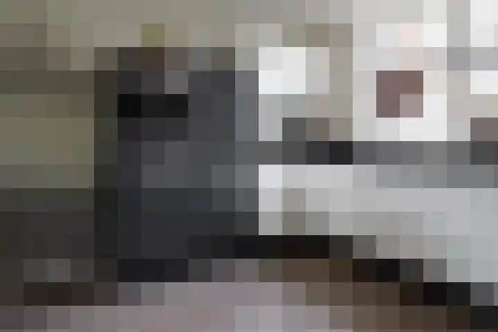 Rozenbottel 2 Hengelo thumbnail 5