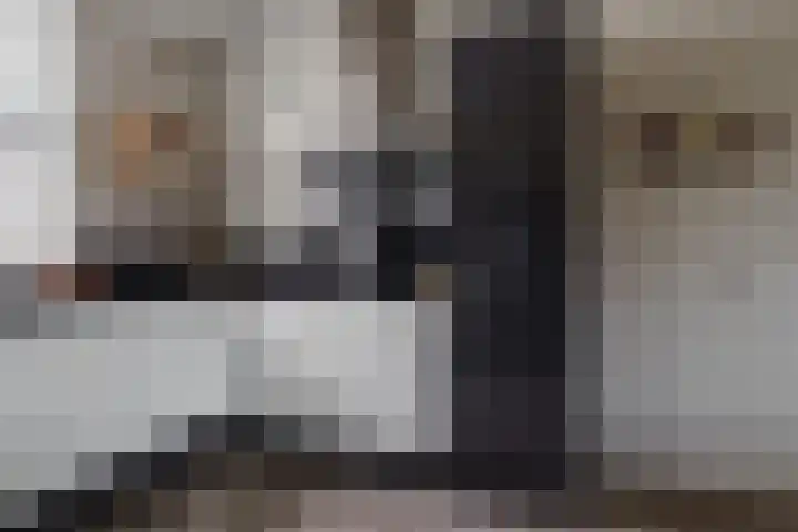 Rozenbottel 2 Hengelo thumbnail 6