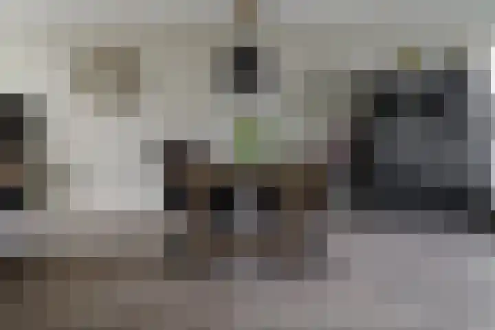 Rozenbottel 2 Hengelo thumbnail 8
