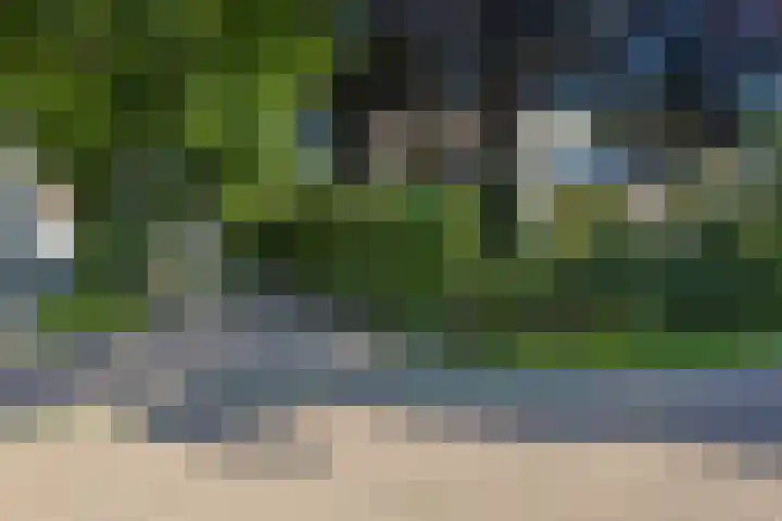 Rozenbroek 15 Milsbeek thumbnail 14