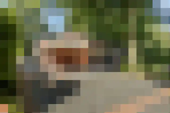 Rozenbroek 15 Milsbeek thumbnail 15