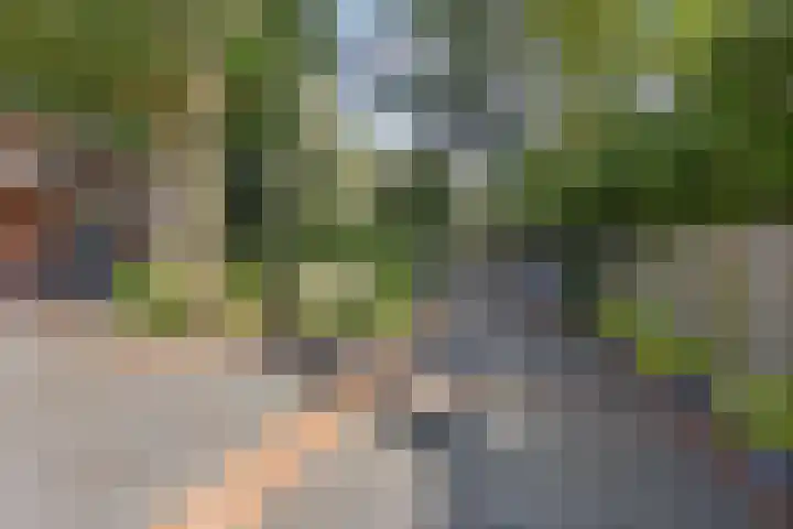 Rozenbroek 15 Milsbeek thumbnail 17