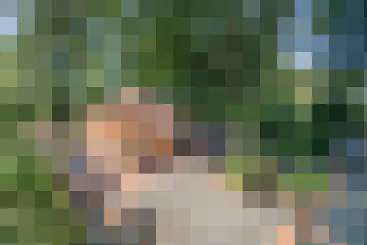 Rozenbroek 15 Milsbeek thumbnail 18
