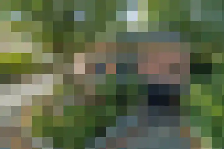 Rozenbroek 15 Milsbeek thumbnail 19