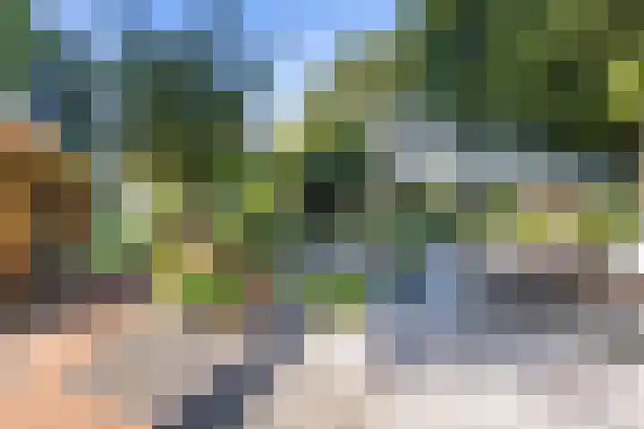 Rozenbroek 15 Milsbeek thumbnail 21