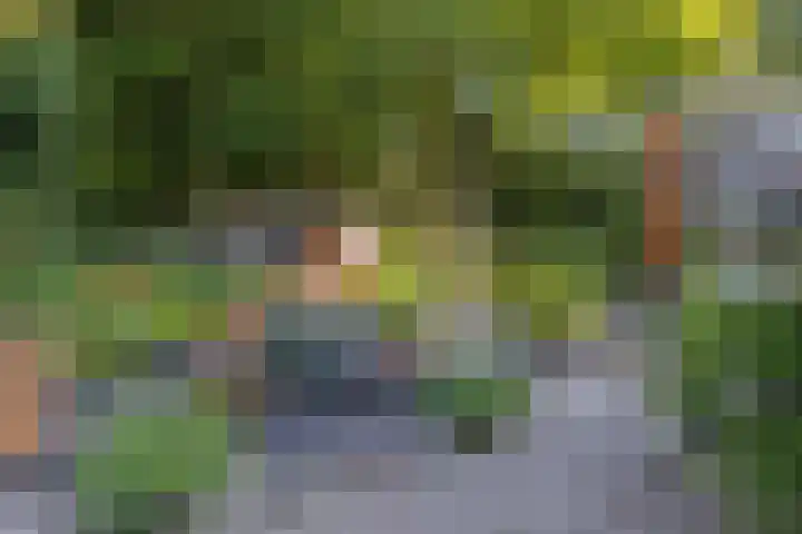 Rozenbroek 15 Milsbeek thumbnail 22