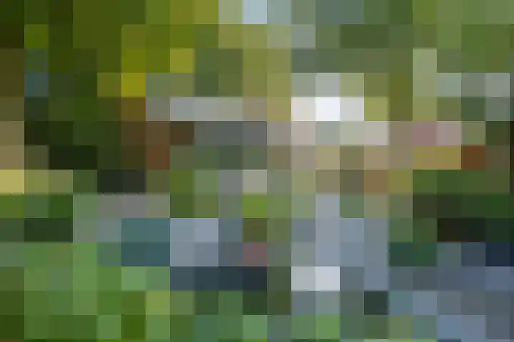 Rozenbroek 15 Milsbeek thumbnail 23