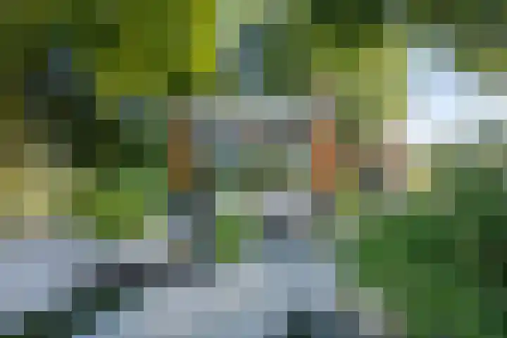 Rozenbroek 15 Milsbeek thumbnail 24