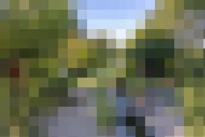 Rozenbroek 15 Milsbeek thumbnail 25
