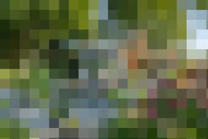 Rozenbroek 15 Milsbeek thumbnail 26