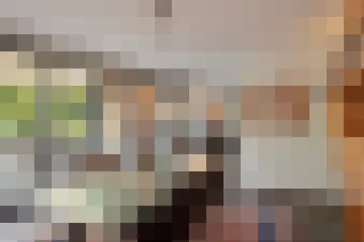 Rozenbroek 15 Milsbeek thumbnail 36