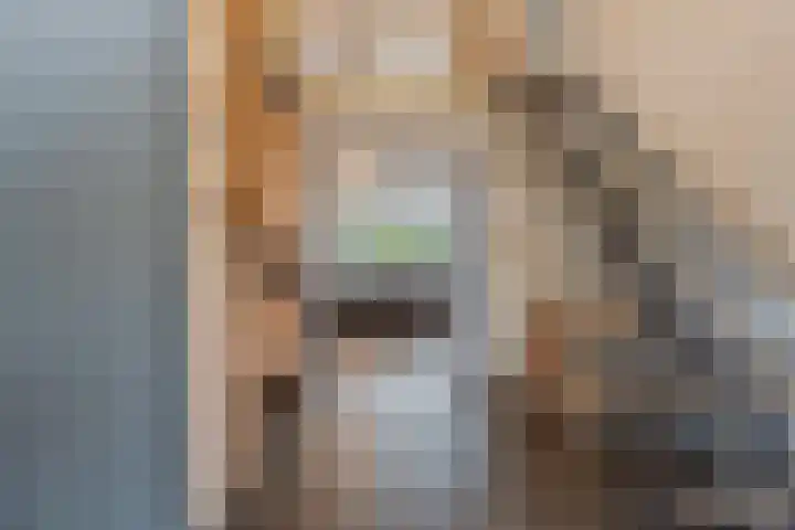 Rozenbroek 15 Milsbeek thumbnail 5