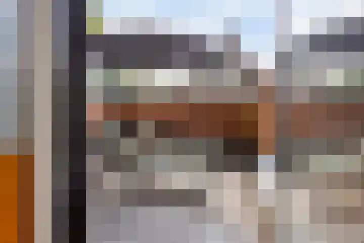 Rozenbroek 15 Milsbeek thumbnail 51