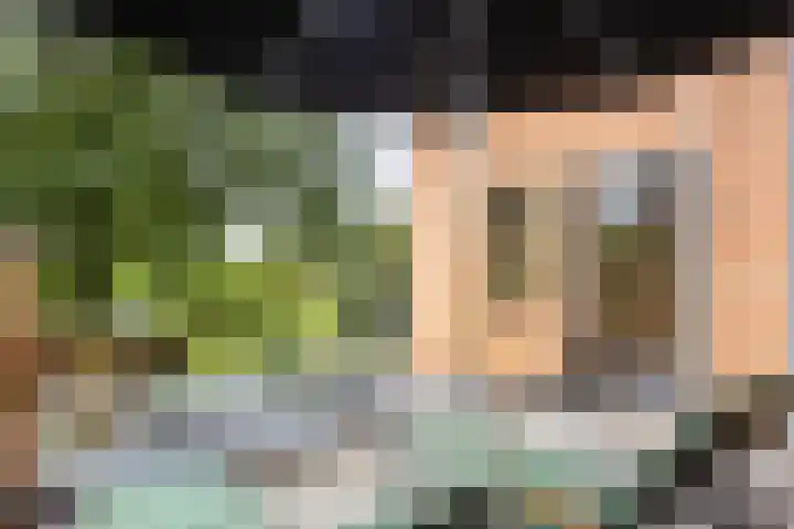 Rozenbroek 15 Milsbeek thumbnail 52
