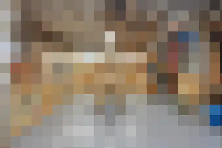 Rozenbroek 15 Milsbeek thumbnail 58