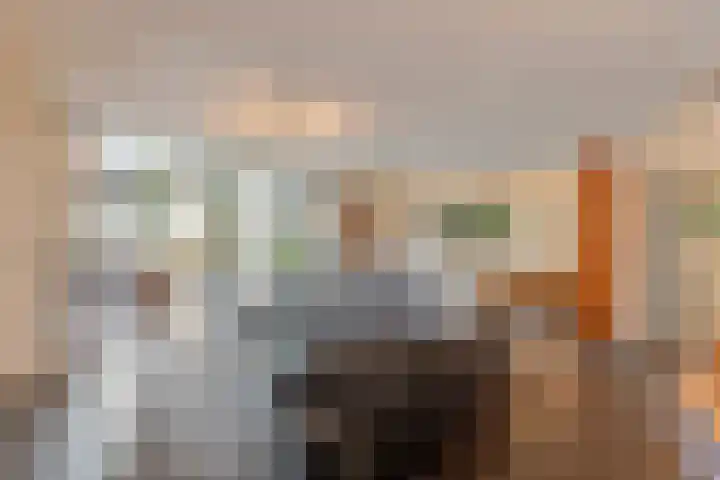 Rozenbroek 15 Milsbeek thumbnail 6