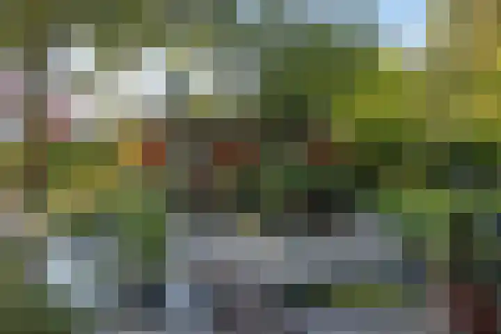 Rozenbroek 15 Milsbeek thumbnail 60