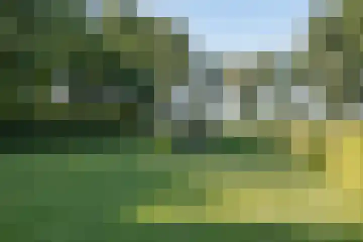 Rozenbroek 15 Milsbeek thumbnail 65