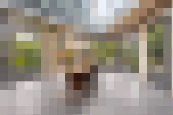 Rozenbroek 15 Milsbeek thumbnail 7